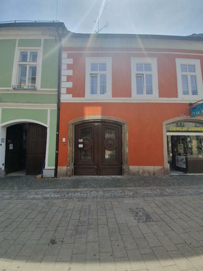 Luxory Apartment The Soul Of City Maribor Bagian luar foto